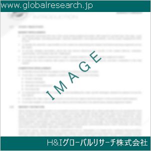グローバルリサーチ調査資料のイメージ